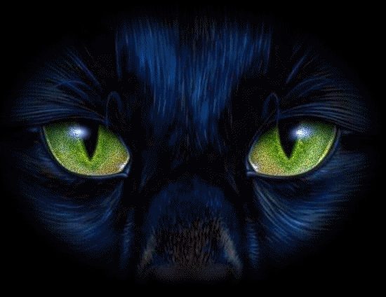  photo CAT.gif