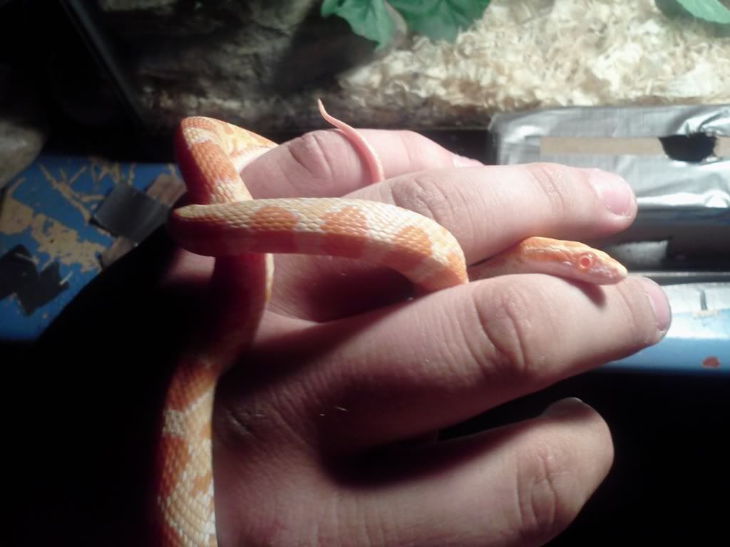 0509122058.jpg
