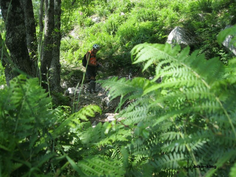 IMG_6063_zps3c949ec3.jpg