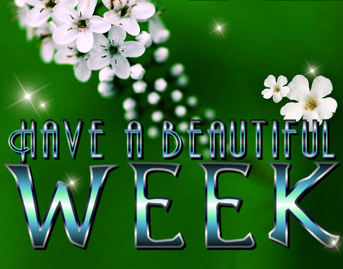 boa week Pictures, Images and Photos