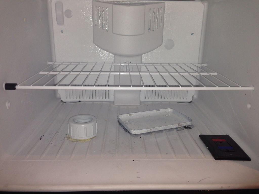 My Elliot Automatic Frozen Fish Food Feeder Reef Central