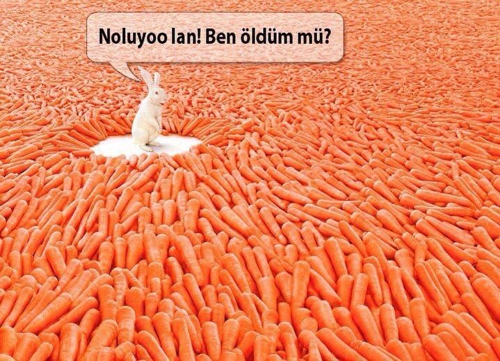 Resim