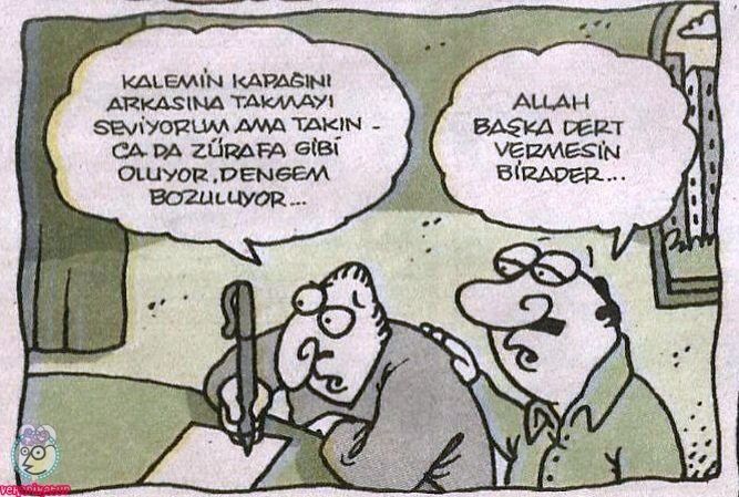 Resim