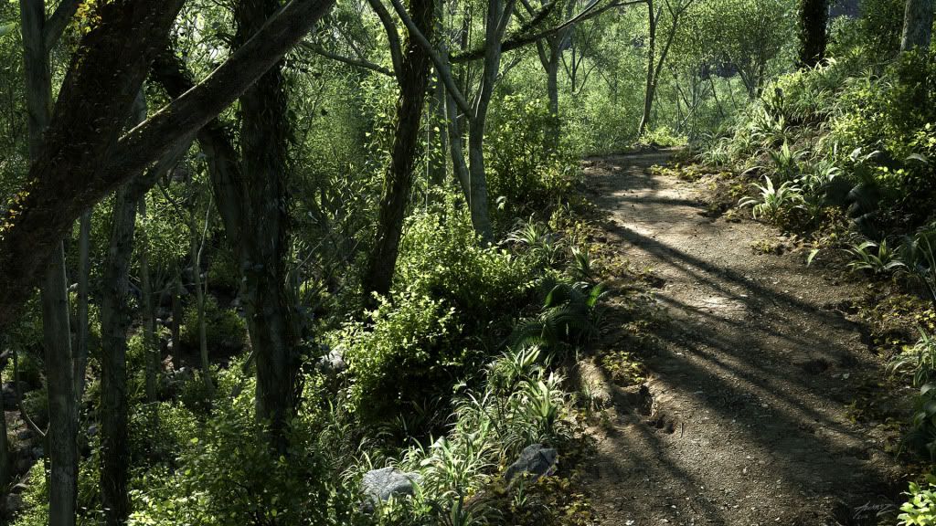 forestPath_09_2k.jpg