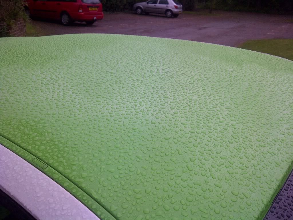 IMG-20120406-00072.jpg