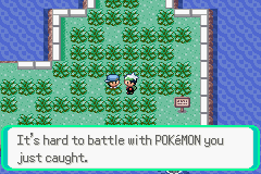 PokemonEmeraldChapter12-36.png