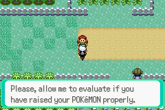 PokemonEmeraldChapter14-44_zps557a9c65.png