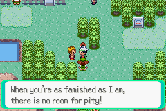 PokemonEmeraldChapter15-5_zps0af0f665.pn