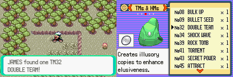 PokemonEmeraldChapter16-23_zpsa79b7e34.p