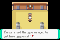 PokemonEmeraldChapter2-29.png