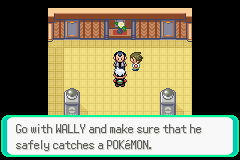 PokemonEmeraldChapter2-34.png