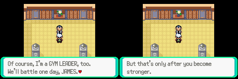 PokemonEmeraldChapter2-42.png