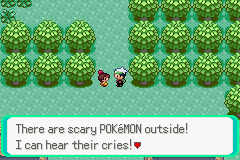 PokemonEmeraldPrologue19.png