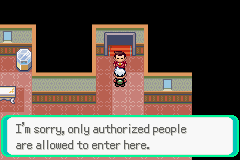 PokemonEmerald196.png