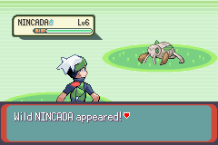 PokemonEmerald210.png