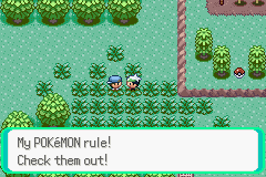 PokemonEmerald211.png