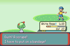 PokemonEmerald213.png