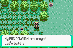 PokemonEmerald214.png