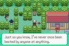 PokemonEmerald227.png