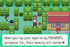 PokemonEmerald228.png