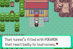 PokemonEmerald231.png