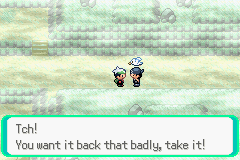 PokemonEmerald245.png