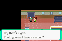 PokemonEmerald259.png