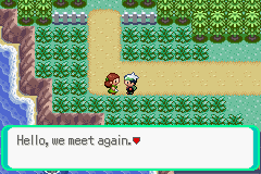 PokemonEmerald297.png