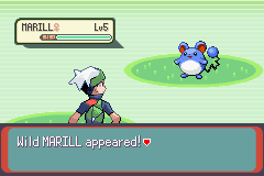 PokemonEmerald299.png