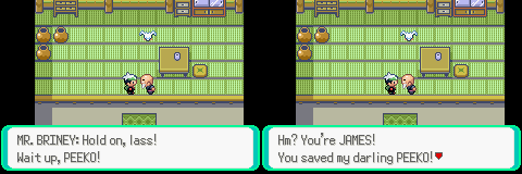 PokemonEmerald301.png