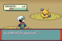 PokemonEmerald358.png