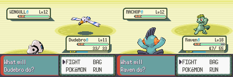 PokemonEmerald389.png