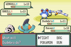 PokemonEmerald391.png