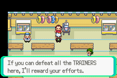 PokemonEmerald406.png