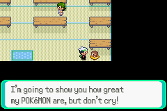 PokemonEmerald409.png