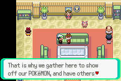 PokemonEmerald446.png