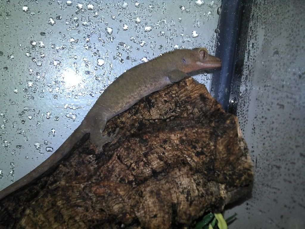 2012-07-22_20-45-03_910.jpg