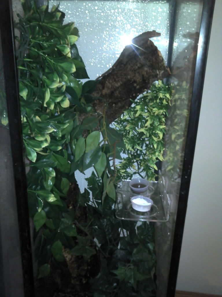 2012-07-22_20-45-13_891.jpg