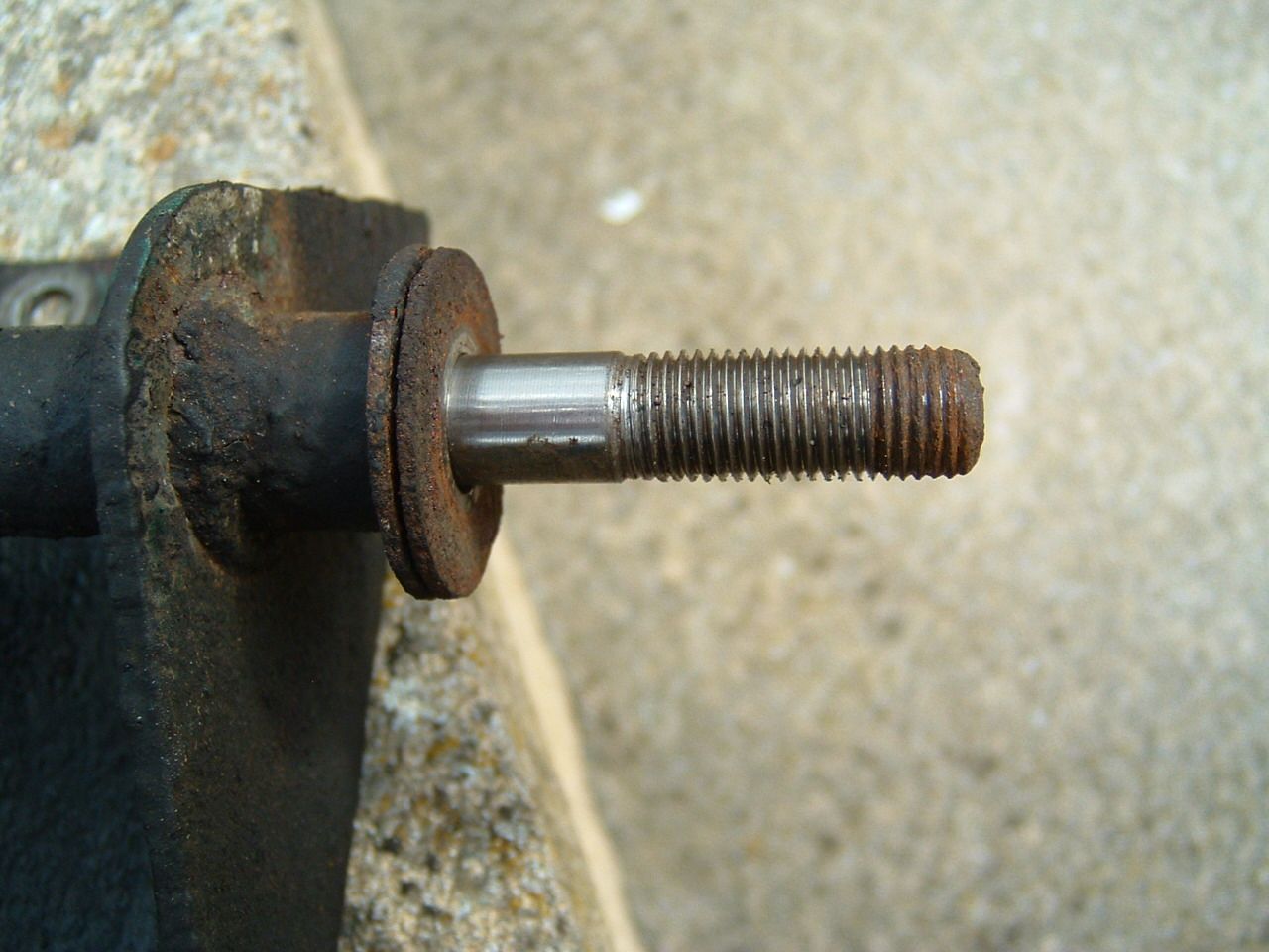 DSCF0008_zpsmkakpjk0.jpg