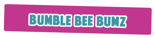 Bumble Bee Bumz