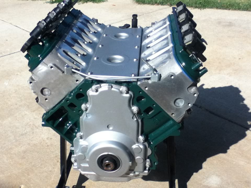 Just some pics of my LQ9 motor...finally done and painted