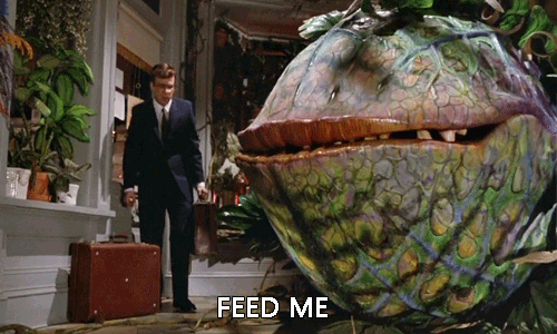  photo Feed-The-Monster-Fly-Eating-Plant-In-Little-Shop-Of-Horrors_zpsrrv2hn5i.gif