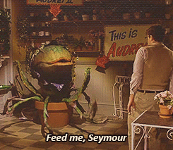  photo tumblr_n517j54OHL1twd37to1_250_zpsrnasjiln.gif