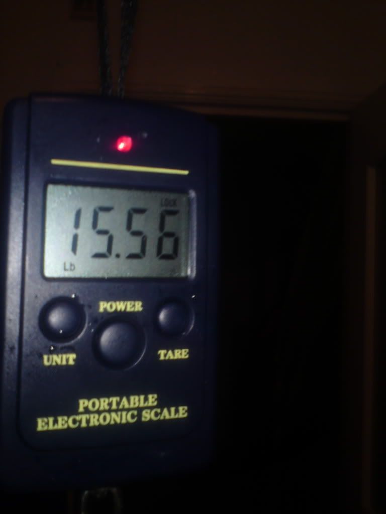 DSC01216.jpg