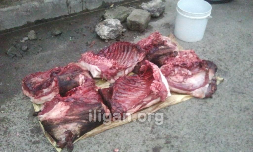 boar meat iligan