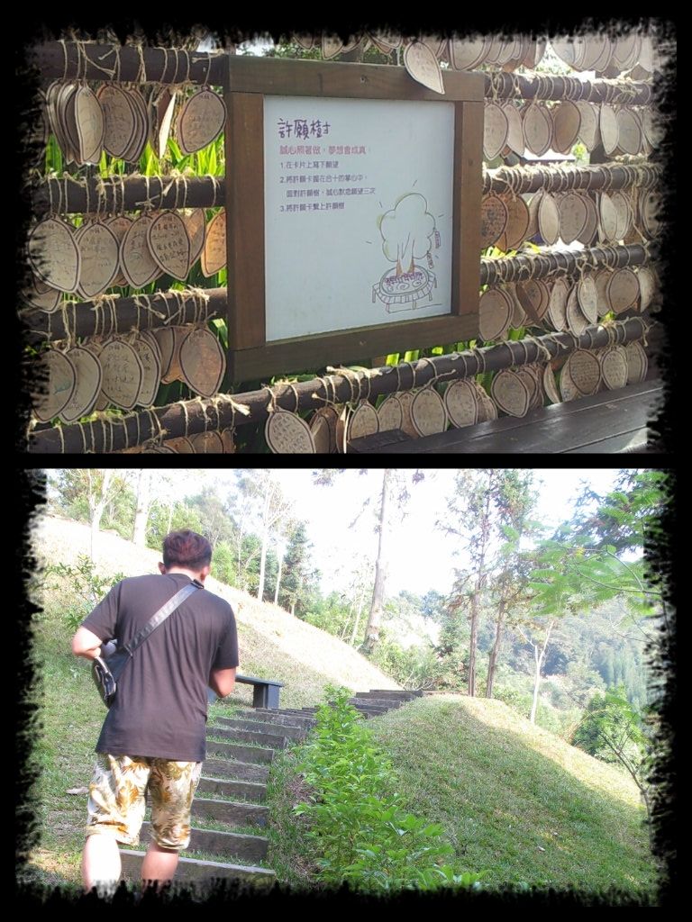 photo Lavenderwish_zps10cf6598.jpg