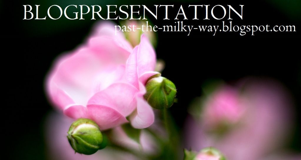 blogpresentation