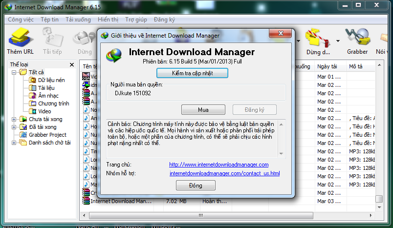 Internet Download Manager 6.15 Build 10 Final (Full)