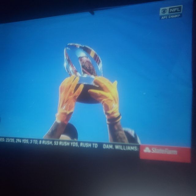  photo LamarHuntTrophie_zpswrdjj0wf.jpg